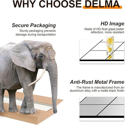 Delma Full Length Mirror, 28"x 55" Window Pane Decorative Mirror for Wall, Black Metal Framed Wall Decor, Wall Mounted, Hanging or Leaning for Bedroom, Living Room, Entryway