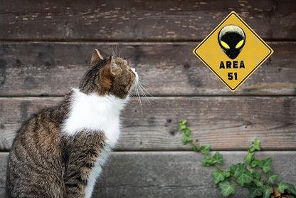 Vintage Area 51 Metal Tin Sign Wall Decor For Bars Cafes Beach Houses Backyards Decor Gift For Farmhouse Office Living Room Metal Sign Decor 8x8 In