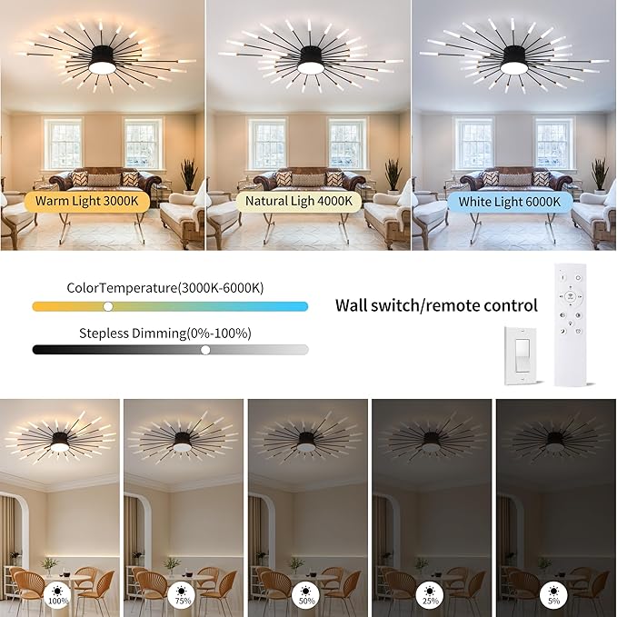 Modern Ceiling Light LED Flush Mount Ceiling Light for Living Room,Kitchen,Dining Room,Bedroom Fireworks Design Dimmable with Remote Control & Memory Function Lighting Fixture (Black,28 Light)