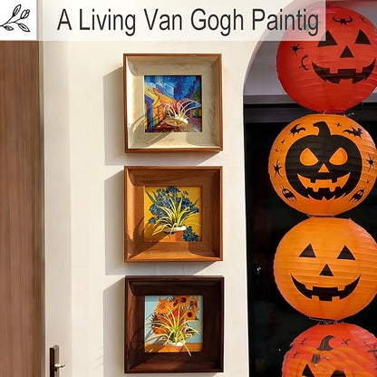 2-in-1 Magnetic Van Gogh Wall Art & Air Plant Holder Frame 3 pack Floating Airplant Holder No-Drill with Famous Prints (Café Terrace, Irises, Sunflowers) for Living Room Bedroom Home Decor Lover Gift