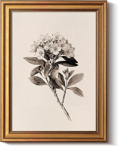 Bzstyleart Vintage Wall Art Decor, Canvas Framed Flower Wall Art, Sketch Painting Picture Vintage Home Decor Aesthetic for Living Room, Bathroom Pictures, Pennsylvania Mountain Laurel, 12L x 16W