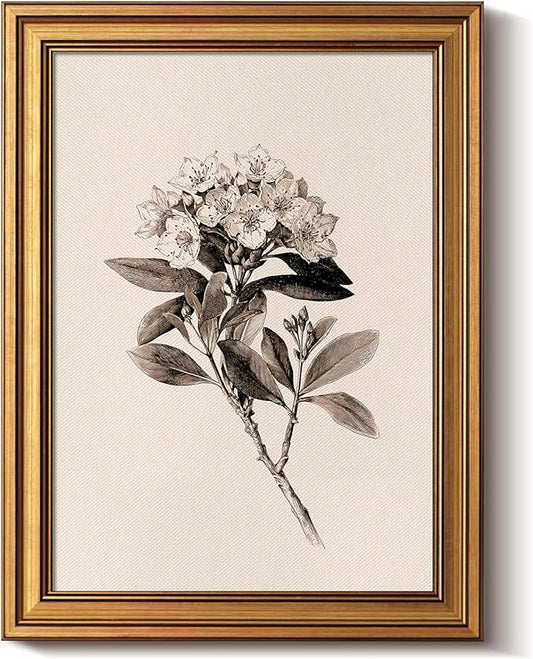 Bzstyleart Vintage Wall Art Decor, Canvas Framed Flower Wall Art, Sketch Painting Picture Vintage Home Decor Aesthetic for Living Room, Bathroom Pictures, Pennsylvania Mountain Laurel, 12L x 16W
