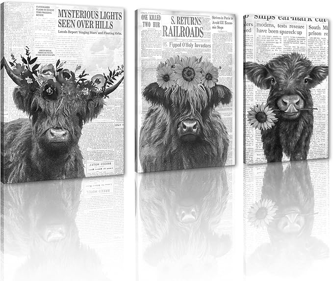 Newspaper Cow Canvas Wall Art Black and White Retro Highland Cow Picture for Bathroom Wall Decor Funny Floral Animal Print Artwork for Country House Living Room Bedroom Decoration 20x28inchx3pcs