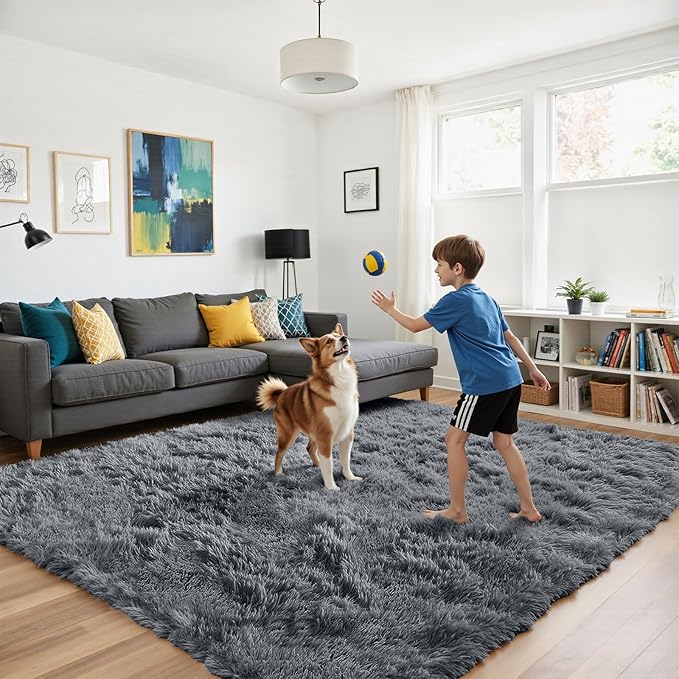 Fluffy Rug Shag Area Rug, Grey 4x6 Area Rugs for Bedroom, Small Bedside Rug, Soft Fluffy Shag Entryway Throw Rugs for Living Room Bedroom Kids Room Home Decor