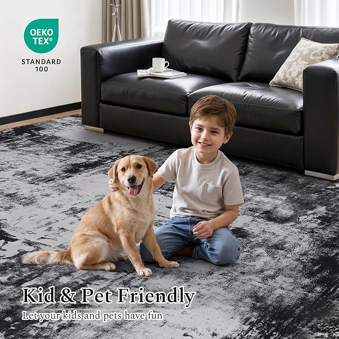 Rugflix 5x8 Area Rugs for Living Room, Washable Large Rug Stain-Resistant Low Pile, Modern Dark Carpet for Dining Room Home Office Kid Room Nursery Bedroom, Black Grey