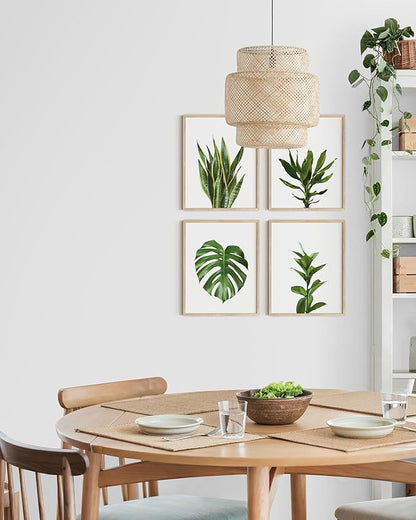 HAUS AND HUES Plant Photo Set of 4-11x14