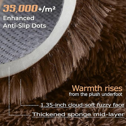 6x9 Area Rug for Living Room: Fluffy Shag Soft Washable Rugs Large Fuzzy Plush Indoor Carpet for Bedroom Nursery Playroom Kids Girls Boys Room (Coffee, 6'x9')