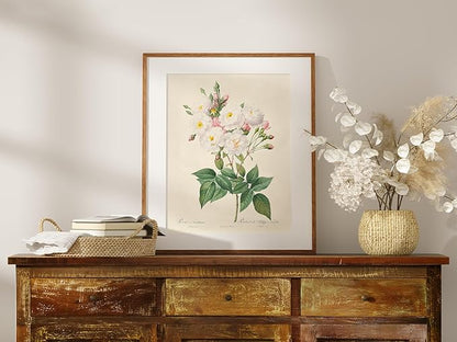 DREAM BIG PRINTABLES Vintage Roses Wall Art Prints (Set of 6) - Unframed - 8x10s | Botanical Decor - Vintage Sketch Prints - French Country - Flower Aesthetic Room Decor