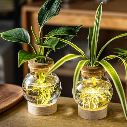 Propagation Stations, Plant Propagation Station with Light Base, Glass Propagation Vases, Hydroponic Vase for Plants, Glass Terrarium for Home Office Windowsill Tabletop Decoration (5)
