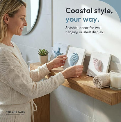 Tide and Tales 3D Beach Wall Art - Seashell with Starfish for Coastal Bathroom Decor, Ocean Inspired Decor for Bathroom, Coastal Bedroom, Living Room or Beach House, Set of 3 (6”x 6”)