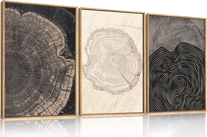 Beige Pastel Wood Tree Rings Framed Canvas Wall Art Set,Modern Nature Grey Wood Stump Wall Decor,Vintage Minimalist Tree Spiral Art Print for Living Room,Bedroom,Dining Room,Office-16 x24 x3