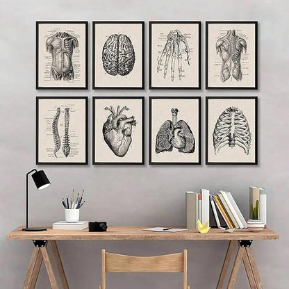 Ohhvvow Human Anatomy Artwork Medical Wall Art Canvas, 8 * 10 Inch Muscle Skeleton Vintage Poster Nordic Canvas Print Education Painting Modern Decor, Unframed