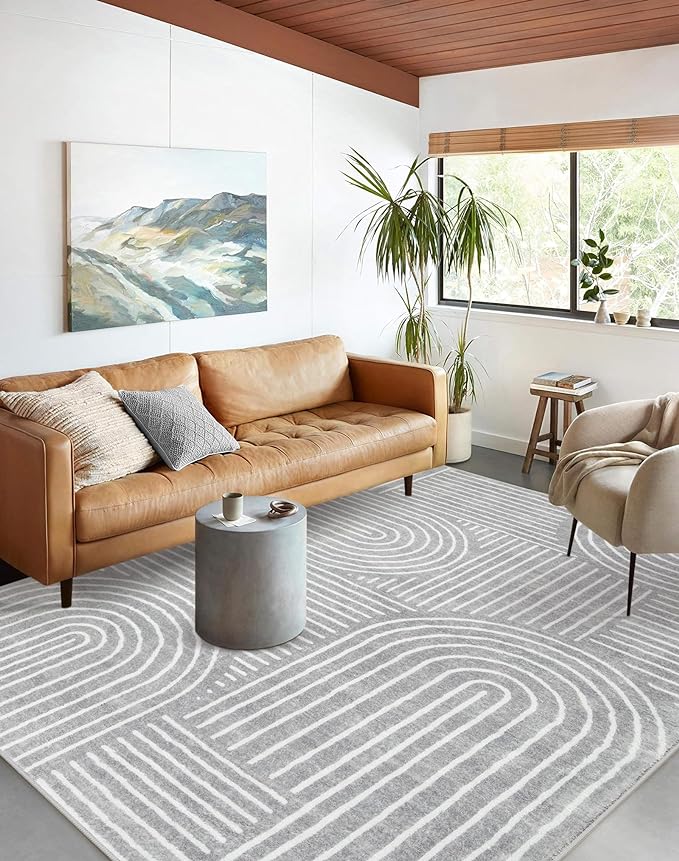 Lahome Abstract Area Rug 5x7,Soft Washable Rugs for Living Room Ultra-Thin Non Slip Gray Rugs for Bedroom, Throw Rug Carpet for Dining Room Office Playroom Darrell (5'x7',Gray)