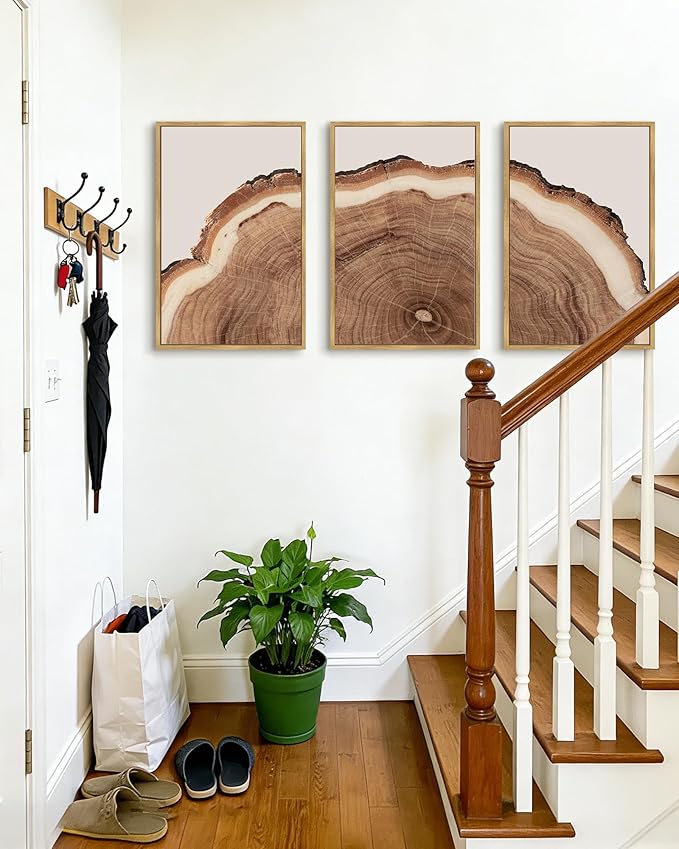 Drsoum Vintage Retro Tree Rings Wood Framed Wall Art Modern Wood Stump Nature Rustic Artwork Bedroom Living Room Ready to Hang 16x24in Natural Framed