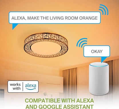 ASD 16 Inch Smart RGBW Flush Mount Ceiling Light with Remote - Matte Black 28W 120V 2700-6500K Dimmable Ceiling Light Fixture, WiFi App Control RGB Lights, Alexa & Google Assistant - ETL