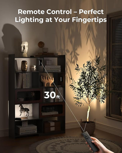 Spotlights Indoor with Daily Auto Timer, 5500mAh Rechargeable Plant Lights, Wireless Uplighting with Remote, 3CCT & Dimmable, Display Lights for Painting, Artwork, Plants, Accent Lighting