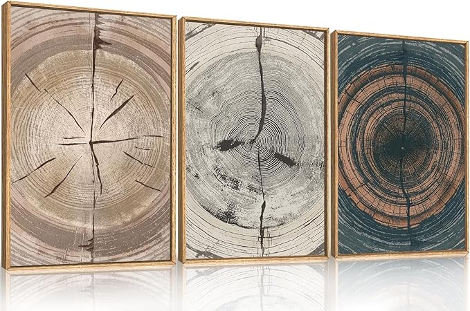 Vintage Beige Tan Tree Ring Framed Canvas Wall Art Set,Modern Neutral Gray Wood Stump Wall Decor,Rustic Wooden Tree Spiral Artwork for Living Room,Bedroom,Farmhouse-16 x24 x3