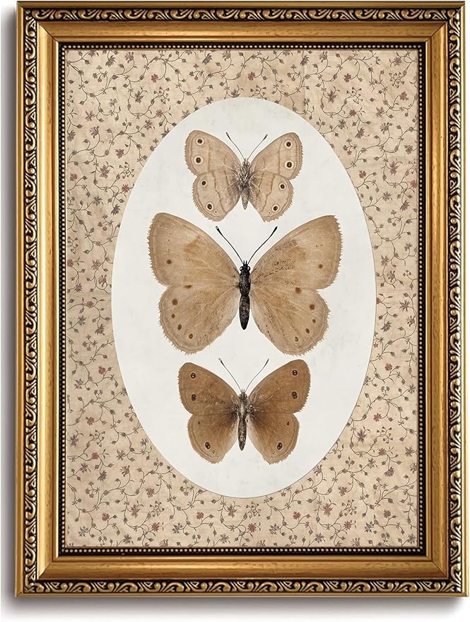 WZGZXU Vintage Gold Framed Wall Art Butterfly Pictures Wall Decor Moth Taxidermy Canvas Art Bathroom Shelf Paintings Print Antique Farmhouse Artwork For Living Room Bedroom