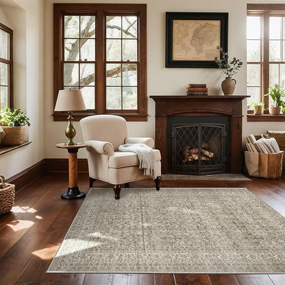 4x6 Washable Area Rugs for Entryway: Door Mat Indoor Entrance Throw Rug Non Slip Low Pile Kitchen Rug for Front Door Indoor Entrance Entry Kids Room