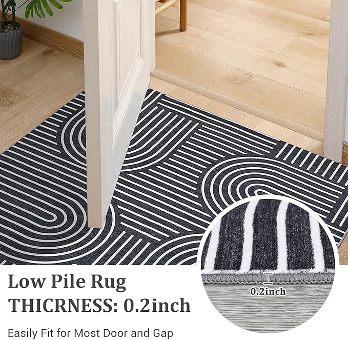 ROYHOME Washable Rug 10x13 Area Rugs for Living Room, Abstract Rug for Bedroom, Soft Rainbow Rugs with Rubber Back, Low Pile Stain Resistant Boho Geometric Rug for Dining Room, Black