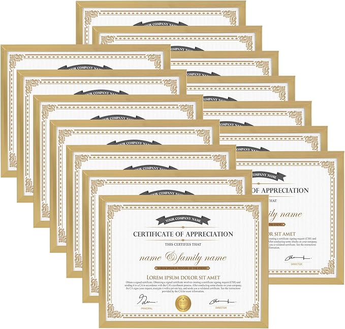 Hoikwo 14 Packs 8.5x11 Gold Multi Plastic Picture Frames Set with Plastic Cover, Certificate Frames for Document Diploma Award, Light Weight Bulk 8.5 by 11 Frames Pack for Wall Hanging and Table