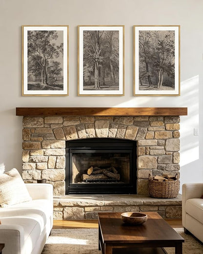 PHOPAGO Vintage Tree Framed Wall Art Large 16x24in Retro Forest Wall Decor Nature Wilderness Sketch Paints Modern Bedroom Living Room Decor - Natural Framed