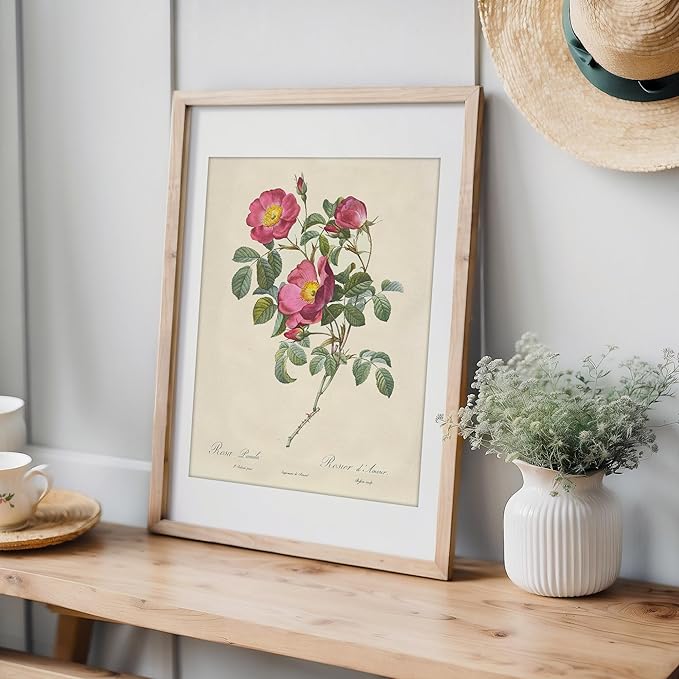 DREAM BIG PRINTABLES Vintage Roses Wall Art Prints (Set of 6) - Unframed - 11x14s | Botanical Decor - Vintage Sketch Prints - French Country - Flower Aesthetic Room Decor
