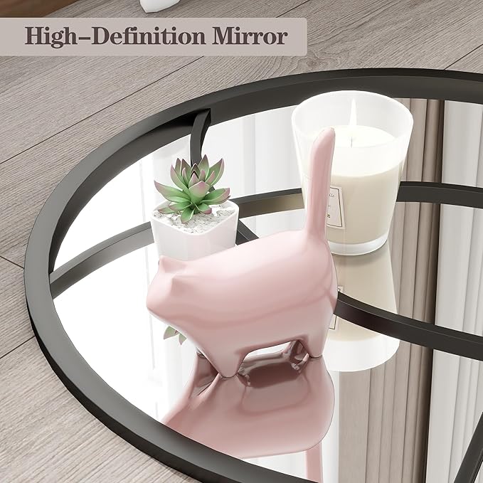 Dewfig 65"x 22" Arched Window pane Full Length Mirror, Wall Mirror, Floor Standing Mirrors, Farmhouse Long Full Body Mirrors Wall Mounted for Living Room, Bedroom, Entryway, Fireplace, Black