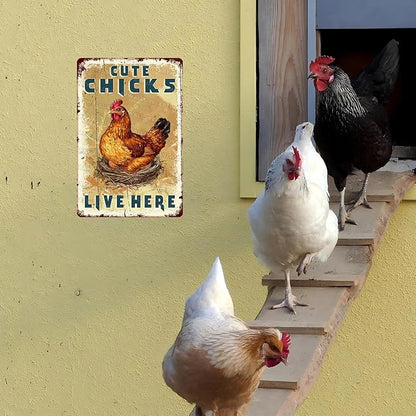 Funny Chicken Coop Sign “Cute Chicks Live Here” - Vintage Tin Metal Wall Decor for Farm, Garden, Hen House, Yard 8x12 Inch
