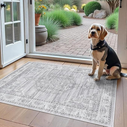 Washable Area Rugs 2x3 Entryway: Soft Ultra Thin Low Pile Mat Machine Washable Indoor Doormat Lightweight Entry Rug Anti Slip Backing Rugs for Living Room Bedroom Kitchen 2'x3' Light Grey