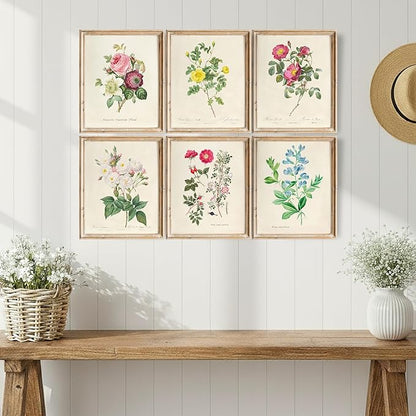DREAM BIG PRINTABLES Vintage Roses Wall Art Prints (Set of 6) - Unframed - 11x14s | Botanical Decor - Vintage Sketch Prints - French Country - Flower Aesthetic Room Decor