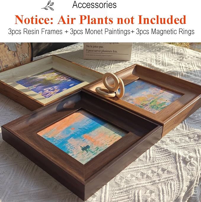 3 Pack Magnetic Monet Wall Art & Air Plant Living Holder 2-in-1 (Impression Sunrise & Water-Lily & Spring by the Seine) DIY Frame Painting Prints Airplant Holder for Living Room Bedroom Office Decor