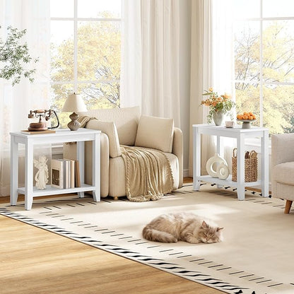 Hoctieon End Table with Double Storage Shelves, Sturdy Wooden Side Table for Living Room, Bedroom, Modern Nightstand Sofa Table for Small Spaces, White, Set of 2