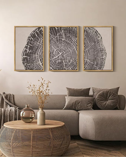 PHOPAGO Farmhouse Vintage Framed Wall Art Large 16x24in Set Gray Wood Tree Ring Spirals Nature Abstract Drawings Rustic Modern Art Decor for Living Room Bedroom - Natural Framed