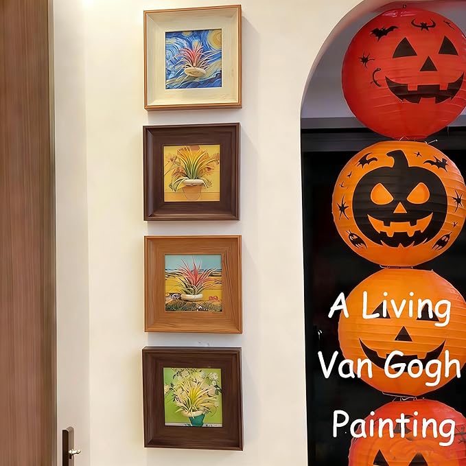 Set of 4 Van Gogh Painting & Air Plant Living Holder Stand Wall Art Decor 2-in-1 DIY 3D Magnetic Textured Airplant Frames with Famous Art Prints, Vintage Living Room Bedroom Wall Hanging Decorations
