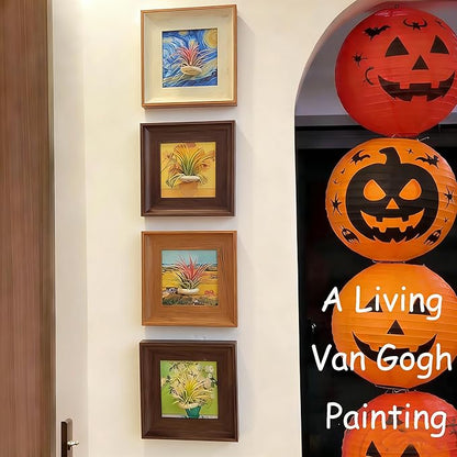 Set of 4 Van Gogh Painting & Air Plant Living Holder Stand Wall Art Decor 2-in-1 DIY 3D Magnetic Textured Airplant Frames with Famous Art Prints, Vintage Living Room Bedroom Wall Hanging Decorations