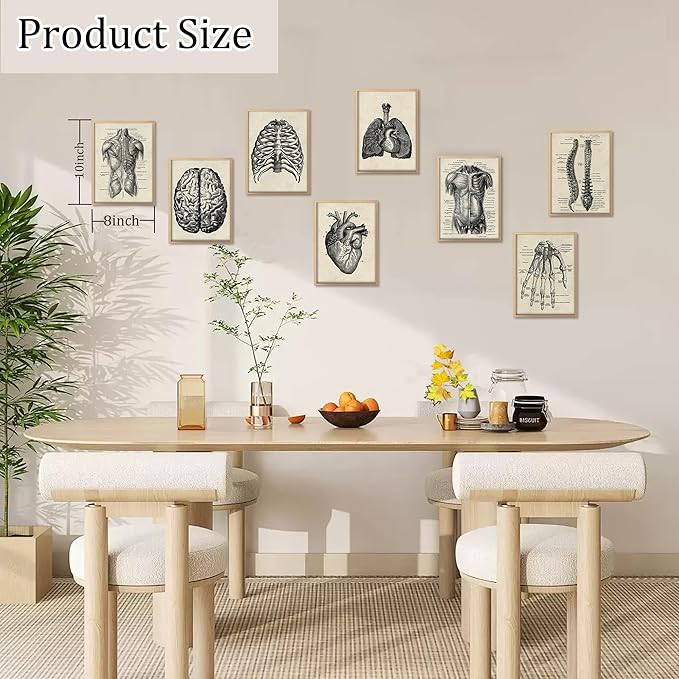 Ohhvvow Human Anatomy Artwork Medical Wall Art Canvas, 8 * 10 Inch Muscle Skeleton Vintage Poster Nordic Canvas Print Education Painting Modern Decor, Unframed