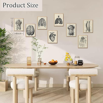 Ohhvvow Human Anatomy Artwork Medical Wall Art Canvas, 8 * 10 Inch Muscle Skeleton Vintage Poster Nordic Canvas Print Education Painting Modern Decor, Unframed