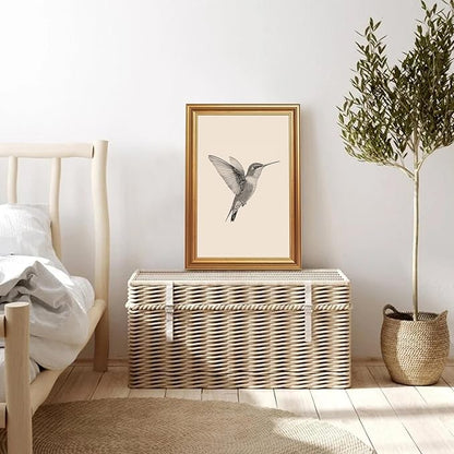 JLTULT Gold Framed Hummingbird Wall Art, Vintage Black White Sketch Wall Decor, Hummingbird Illustration Art Prints for Living Room Bedroom Office 16x24 Inches with Fade-Resistant Easy to Hang