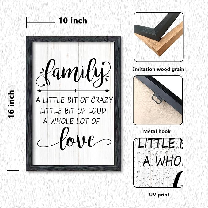 AuraPeak Family Wall Decor For Family A Little Bit Of Crazy Sign Hallway Entryway Horizontal Home Modern Positive Farmhouse Living Room Wall Hanging Art (Black 16"×10")