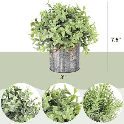 Mkono Small Fake Plants in Farmhouse Galvanized Metal Pots 3 Pack Potted Artificial Plant Eucalyptus for Laundry Room Bathroom Shelf Table Decor