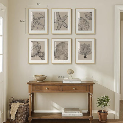 Framed Coastal Wall Art for Living Room, 6 Piece Neutral Black Beige Modern Abstract Prints Artwork, Ocean Coral and Beach Tree Ring Pictures for Bedroom Dining Room Bathroom Wall Decor 11x14 In