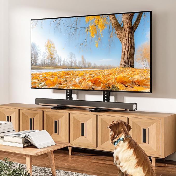 TAVR Universal Table Top TV Stand Mount, TV Legs for Most 20-75 Inch TVs, Replacement TV Feet with Great Load-Bearing Holds up to 110 lbs, TV Stands Base with Cable Management, Max VESA 800x600 mm
