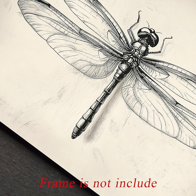 uniro Vintage Dragonfly Sketch Wall Art Prints Farmhouse Decor Neutral Insect Animal Wall Decor, Antique Dragonfly Sketch Drawing Canvas Oil Painting Vintage Artwork Pictures for Bedroom Living Room Decor (8" x 10"-UNFRAMED)