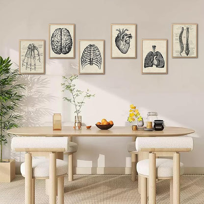 Ohhvvow Human Anatomy Artwork Medical Wall Art Canvas, 12 * 18 Inch Muscle Skeleton Vintage Poster Nordic Canvas Print Education Painting Modern Decor, Unframed