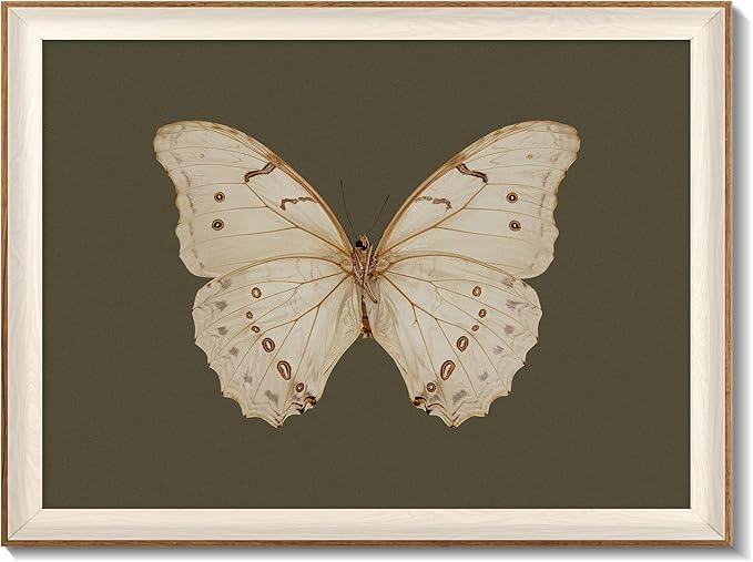 Uniro Vintage Framed Wall Art, Classical Butterfly Oil Paintings, Dark Moody Insect Canvas Prints Artwork with Antique Frame, Saige Green Wall Decor Pictures for Bedroom, Kitchen, Shelf, Bathroom Wall Decor, Cottagecore Room Decor - 16x24Inch