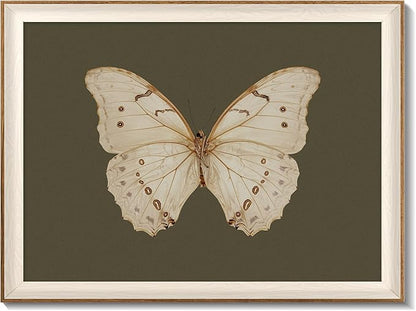 Uniro Vintage Framed Wall Art, Classical Butterfly Oil Paintings, Dark Moody Insect Canvas Prints Artwork with Antique Frame, Saige Green Wall Decor Pictures for Bedroom, Kitchen, Shelf, Bathroom Wall Decor, Cottagecore Room Decor - 16x24Inch