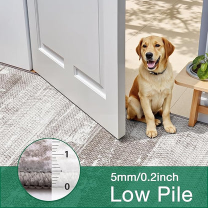LUMI 5x8 Washable Area Rug for Living Room, Ultra Soft Stain Resistant Carpet with Non Slip Rubber Backing, Non-Shedding Low Pile Rugs for Bedroom, Dining Room, Indoor, Office
