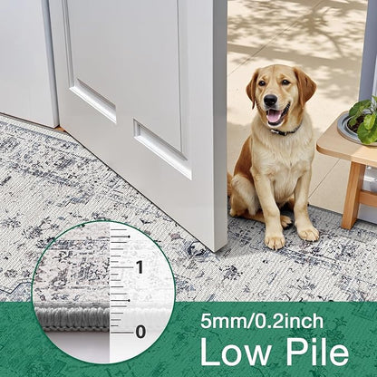LUMI 10x14 Washable Area Rug for Living Room, Ultra Soft Traditional Rugs Non Slip with Rubber Backing, Low Profile, High Traffic, Stain Resistant Carpets, Ideal for Bedroom, Dining Room, Indoor