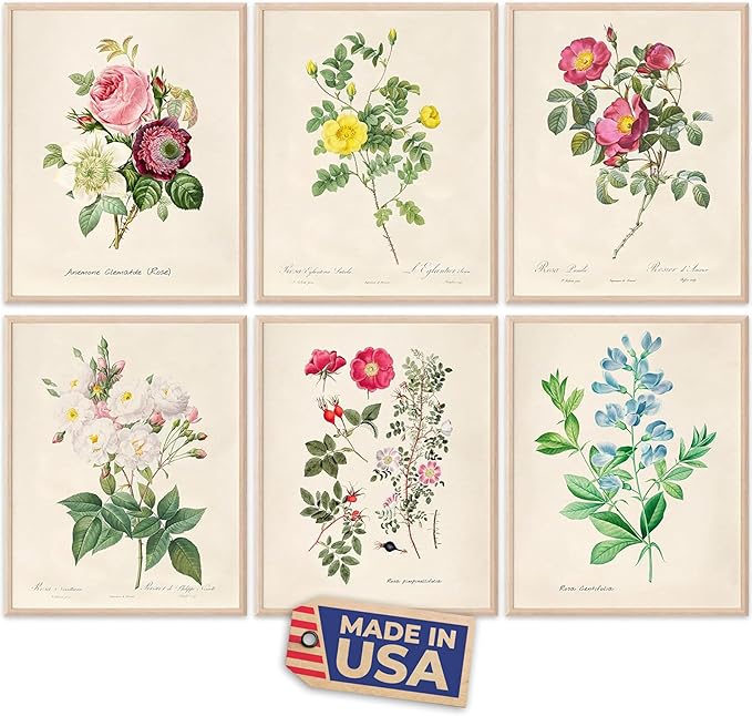 DREAM BIG PRINTABLES Vintage Roses Wall Art Prints (Set of 6) - Unframed - 8x10s | Botanical Decor - Vintage Sketch Prints - French Country - Flower Aesthetic Room Decor